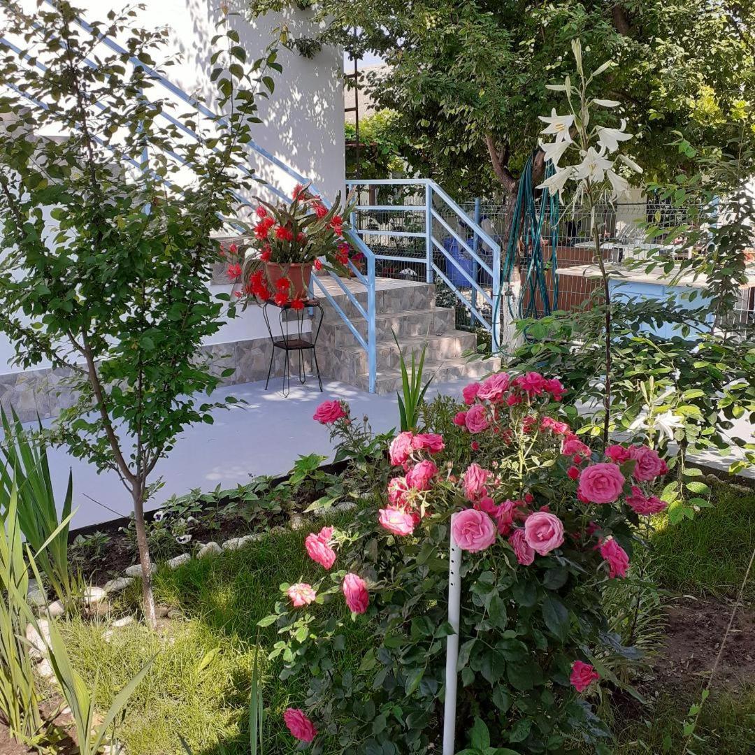 Terra Nova Solis Costinești Exterior foto